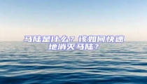 馬陸是什么?該如何快速地消滅馬陸?