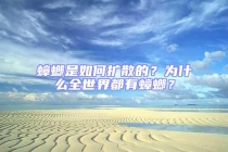 蟑螂是如何擴(kuò)散的？為什么全世界都有蟑螂？