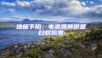地板下陷、電源跳閘原是白蟻搗鬼