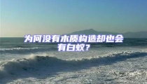 為何沒有木質(zhì)構(gòu)造卻也會(huì)有白蟻？