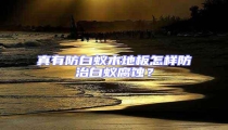 真有防白蟻木地板怎樣防治白蟻腐蝕?