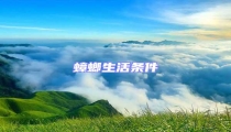 蟑螂生活條件