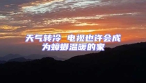 天氣轉冷 電視也許會成為蟑螂溫暖的家