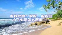 沒有蚊蠅？很好，但這些小飛蟲是怎么回事……