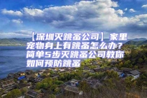 【深圳滅跳蚤公司】家里寵物身上有跳蚤怎么辦？簡單5步滅跳蚤公司教你如何預防跳蚤