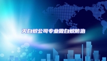 滅白蟻公司專業(yè)做白蟻防治