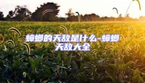 蟑螂的天敵是什么-蟑螂天敵大全