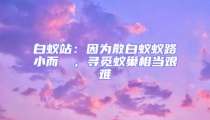 白蟻站：因為散白蟻蟻路小而骫骳，尋覓蟻巢相當(dāng)艱難
