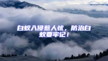 白蟻入侵惹人憂,防治白蟻要牢記!