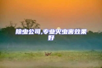 除蟲公司,專業滅蟲害效果好
