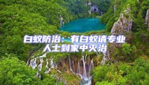 白蟻防治:有白蟻請專業人士到家中滅治