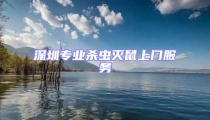 深圳專業殺蟲滅鼠上門服務