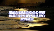 深圳白蟻防治專業公司深圳殺白蟻專業公司認識白蟻的危害