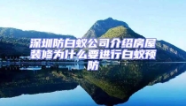 深圳防白蟻公司介紹房屋裝修為什么要進行白蟻預防