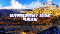 餐廳如何滅蒼蠅?除蟲公司來支招