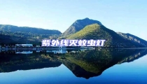 紫外線滅蚊蟲燈