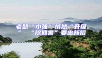 老鼠“小強”悄然“升級” “除四害”要出新招