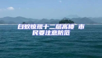 白蟻驚現(xiàn)十二層高樓 市民要注意防范