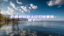 巴西將釋放上億只轉基因蚊子