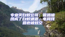 專業滅白蟻公司:管路暗線成了白蟻通道,電網線路也被蛀空