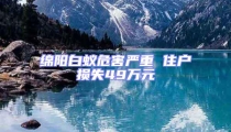 綿陽白蟻危害嚴重 住戶損失49萬元