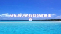 綠化樹上的白蟻到底誰來管