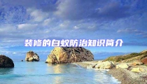 裝修的白蟻防治知識(shí)簡(jiǎn)介