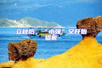 立秋后，“小強”又開始猖獗