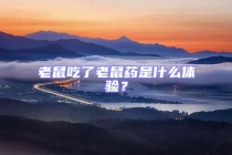 老鼠吃了老鼠藥是什么體驗(yàn)？