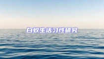 白蟻生活習(xí)性研究