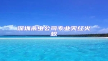深圳殺蟲公司專業滅紅火蟻