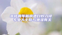 裝修兩年新房遭白蟻入侵 專業人士稱與潮濕有關