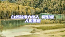 白蟻破壞力驚人 需引起人們警惕
