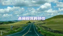 殺蟑膠餌的特性