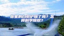 你家的白蟻鏟除了嗎?怎樣科學除蟻?