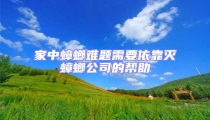 家中蟑螂難題需要依靠滅蟑螂公司的幫助