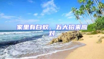 家里有白蟻,五大招來應(yīng)對