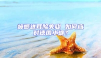蟑螂進耳險失聰 如何應對德國小蠊?