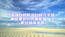 深圳白蟻防治白蟻入冬進巢前要補充大量能量,會瘋狂啃食木質