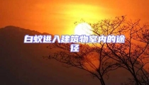 白蟻進(jìn)入建筑物室內(nèi)的途徑
