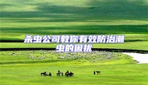 殺蟲公司教你有效防治潮蟲的困擾