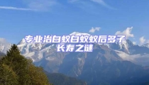 專業治白蟻白蟻蟻后多子長壽之謎