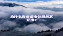 為什么有些殺蟲公司殺不死蟲?