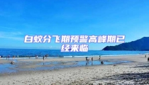 白蟻分飛期預警高峰期已經來臨