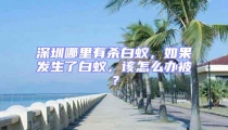 深圳哪里有殺白蟻,如果發生了白蟻,該怎么辦被?