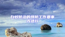 白蟻防治的預防工作要事先進行