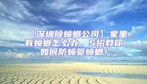 【深圳除蟑螂公司】家里有蟑螂怎么辦,5招教你如何防蟑驅蟑螂!