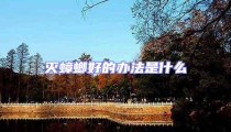 滅蟑螂好的辦法是什么