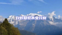 白蟻和蛀木蟲分別
