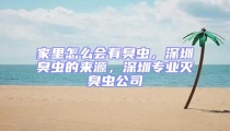 家里怎么會有臭蟲,深圳臭蟲的來源,深圳專業滅臭蟲公司